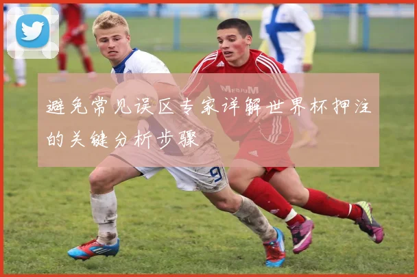 避免常见误区专家详解世界杯押注的关键分析步骤