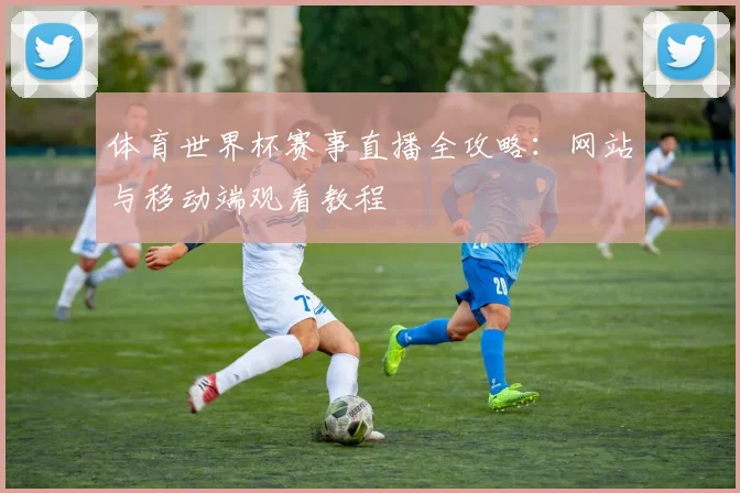 体育世界杯赛事直播全攻略:网站与移动端观看教程