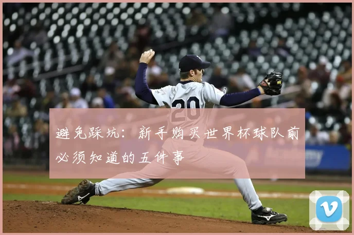 避免踩坑：新手购买世界杯球队前必须知道的五件事