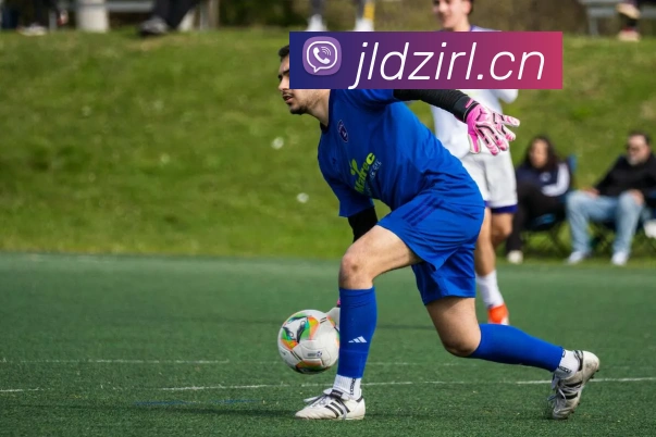 开云app在线入口APP 高清赛事图